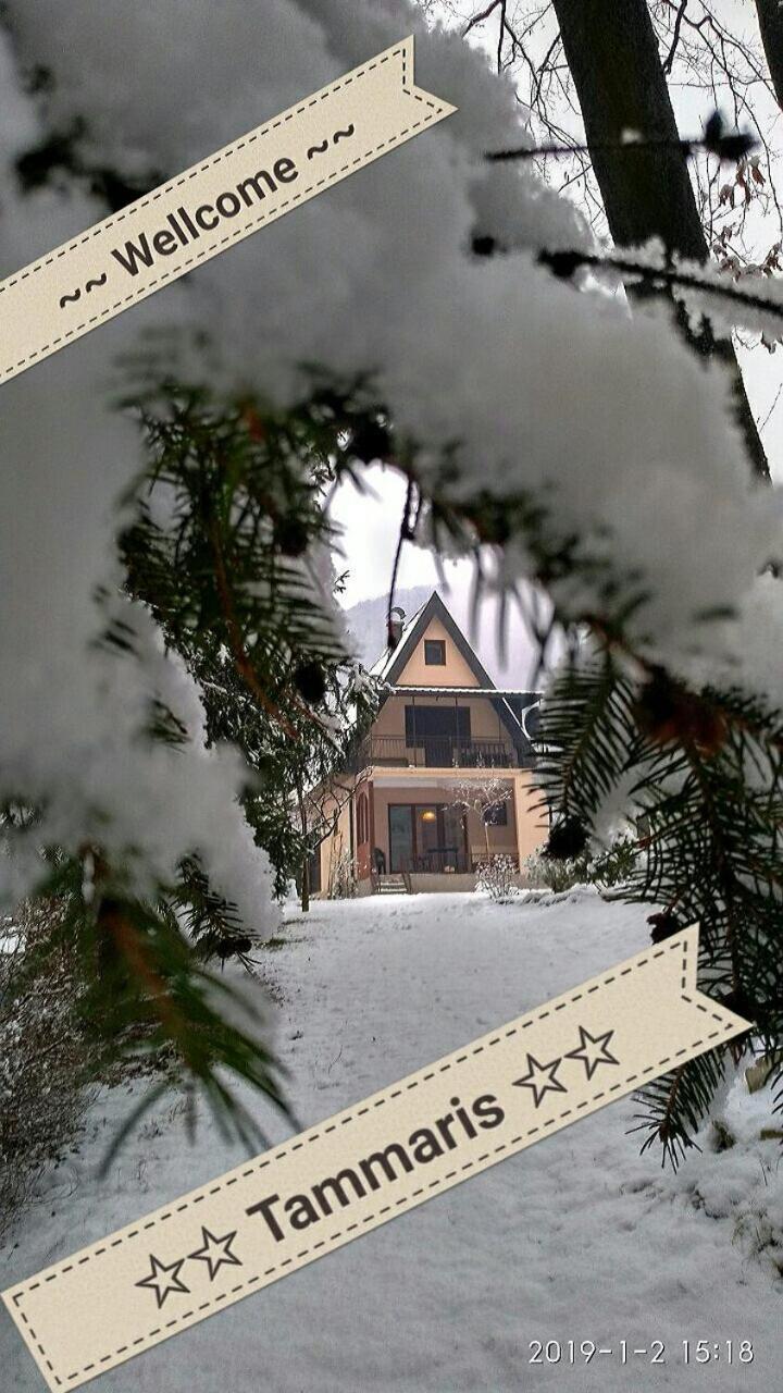 Tammaris Holiday Home Вісоко Екстер'єр фото